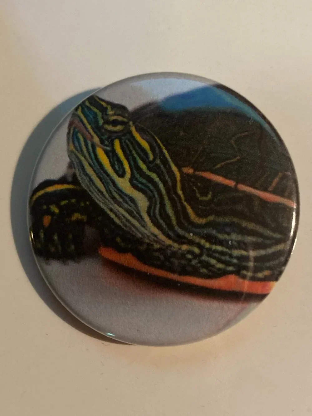 Painted Turtle Pin